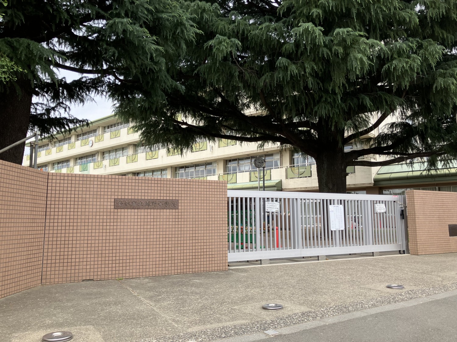 狛江市立緑野小学校　750ｍ