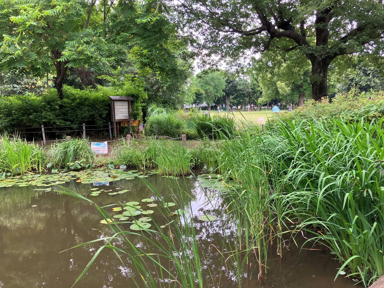 前原公園　1200ｍ