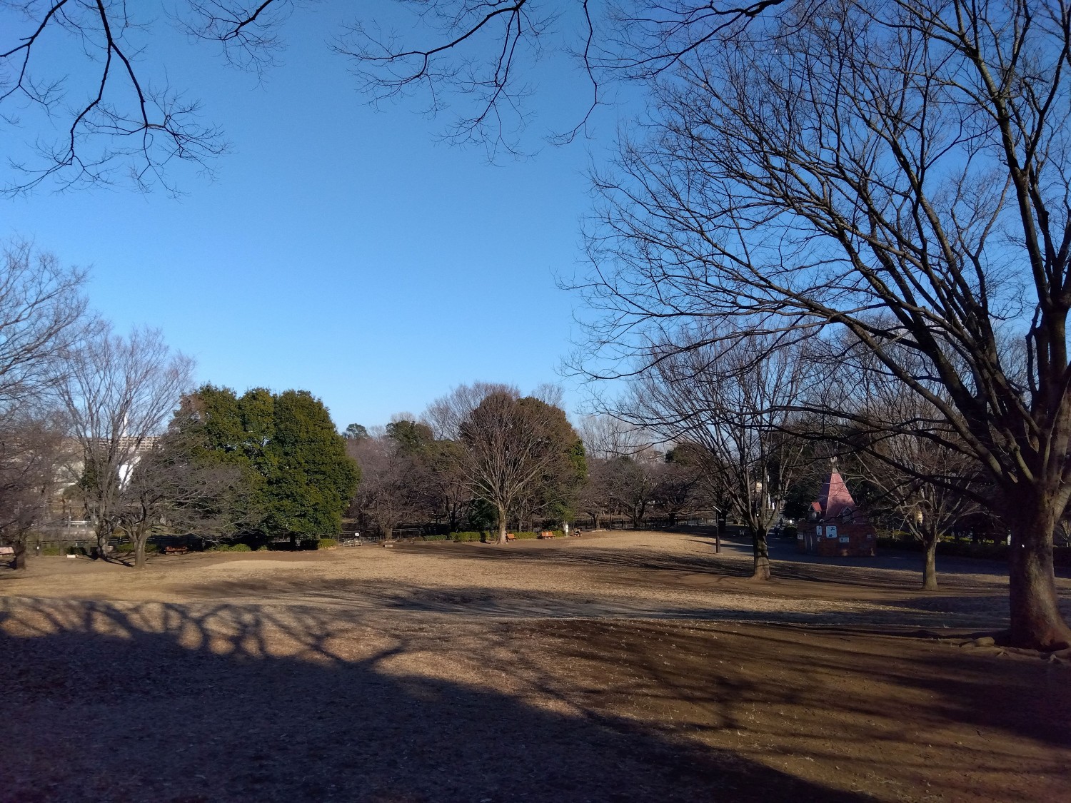 祖師谷公園まで600m