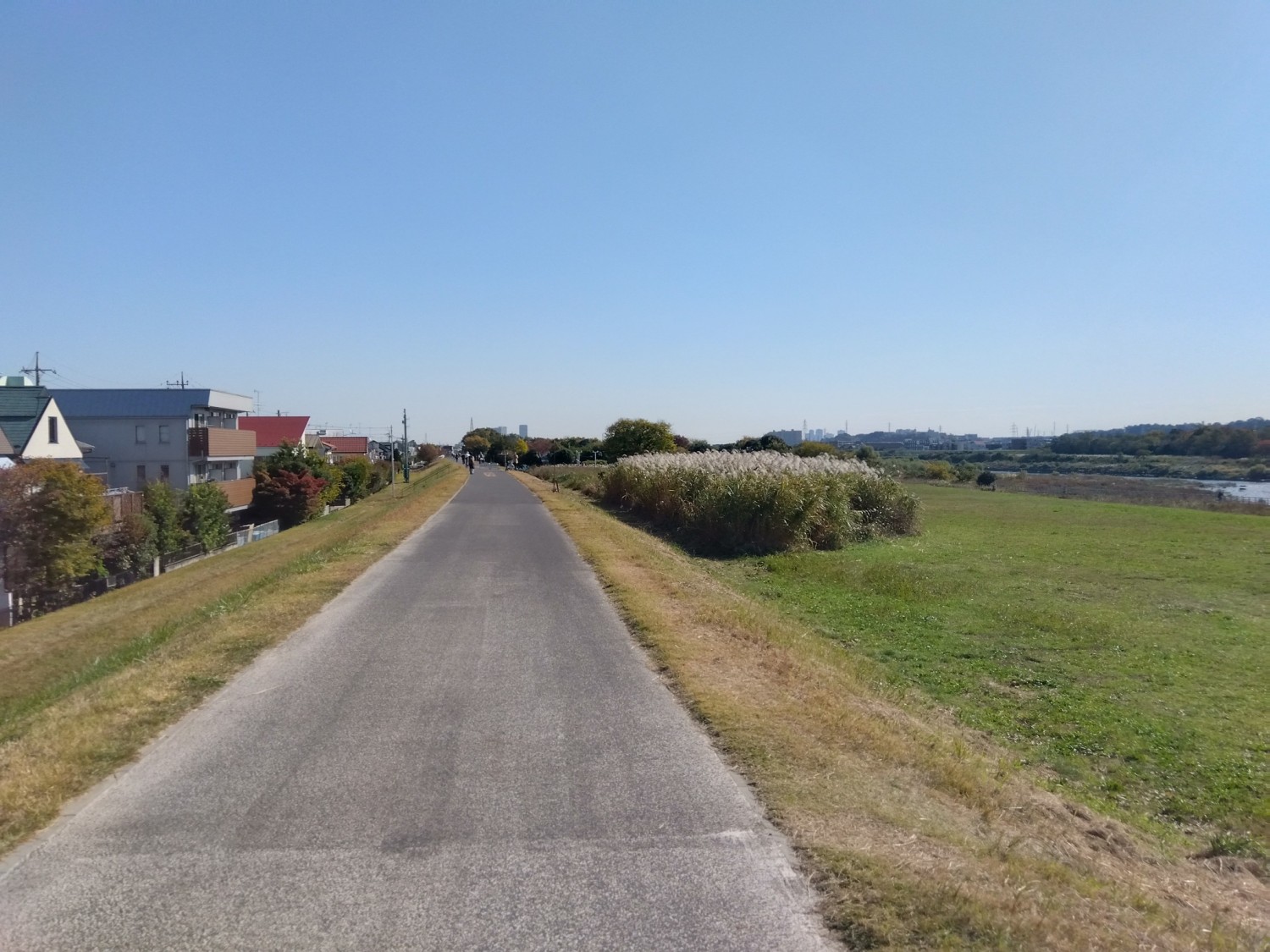 南側サイクリングロード