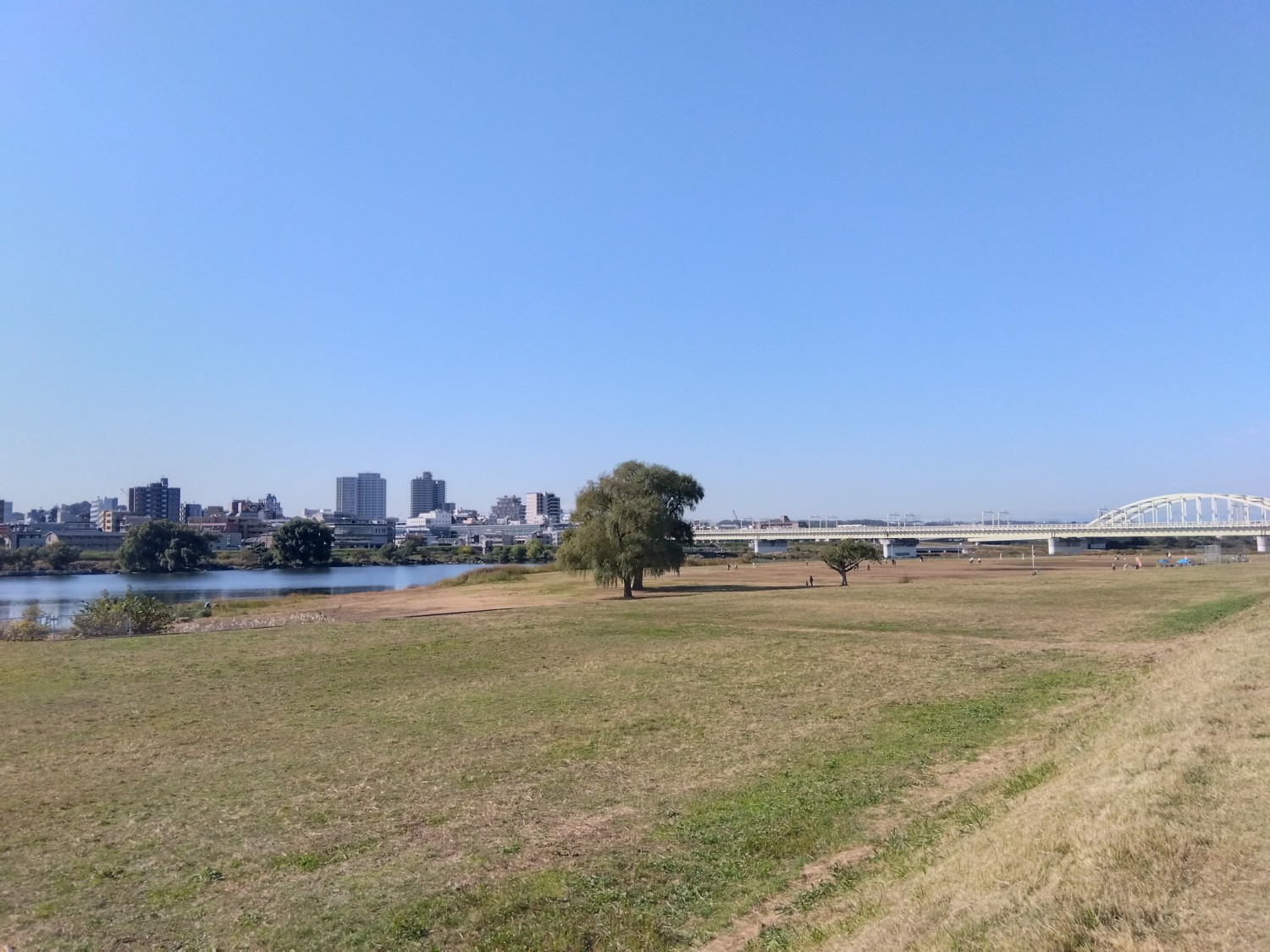 多摩川自由ひろばまで190m