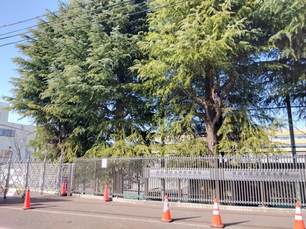 芦花小学校まで1000m