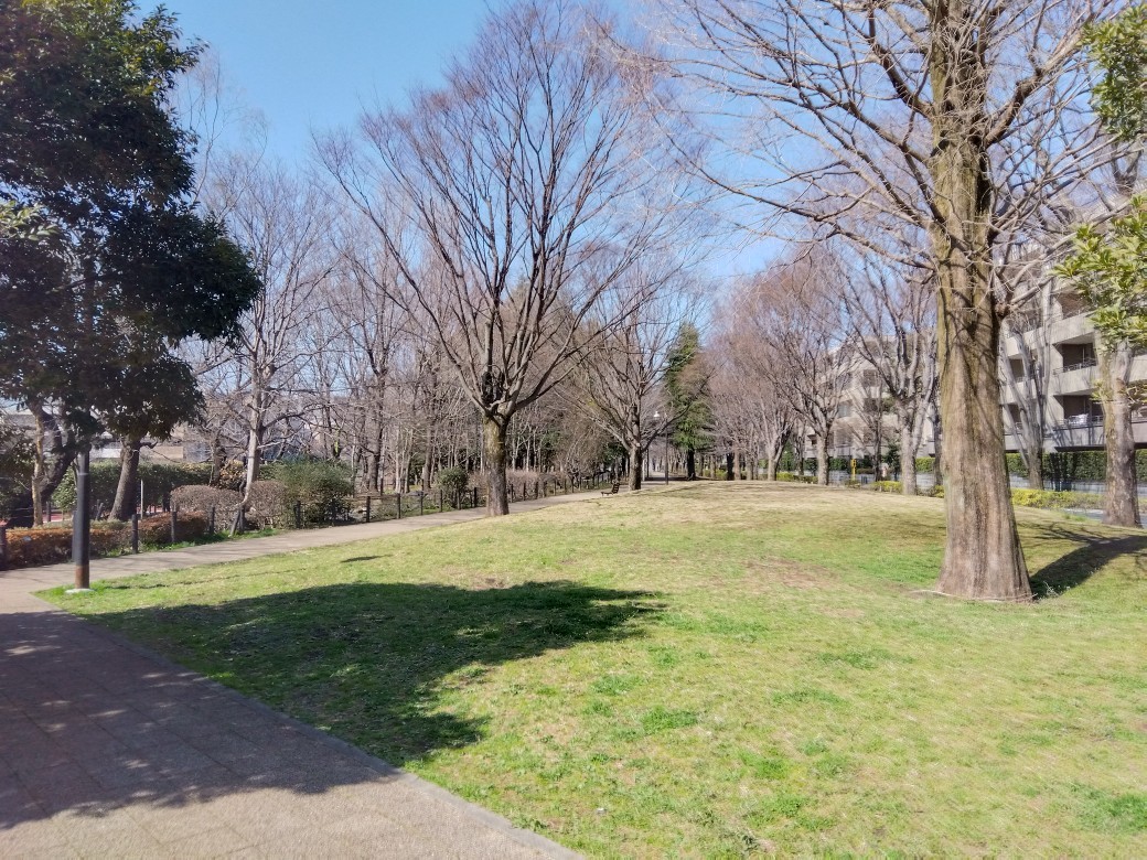 野川緑地広場まで170m