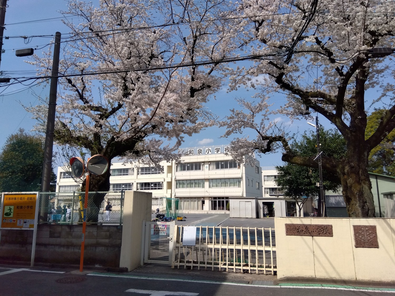 和泉小学校まで750m