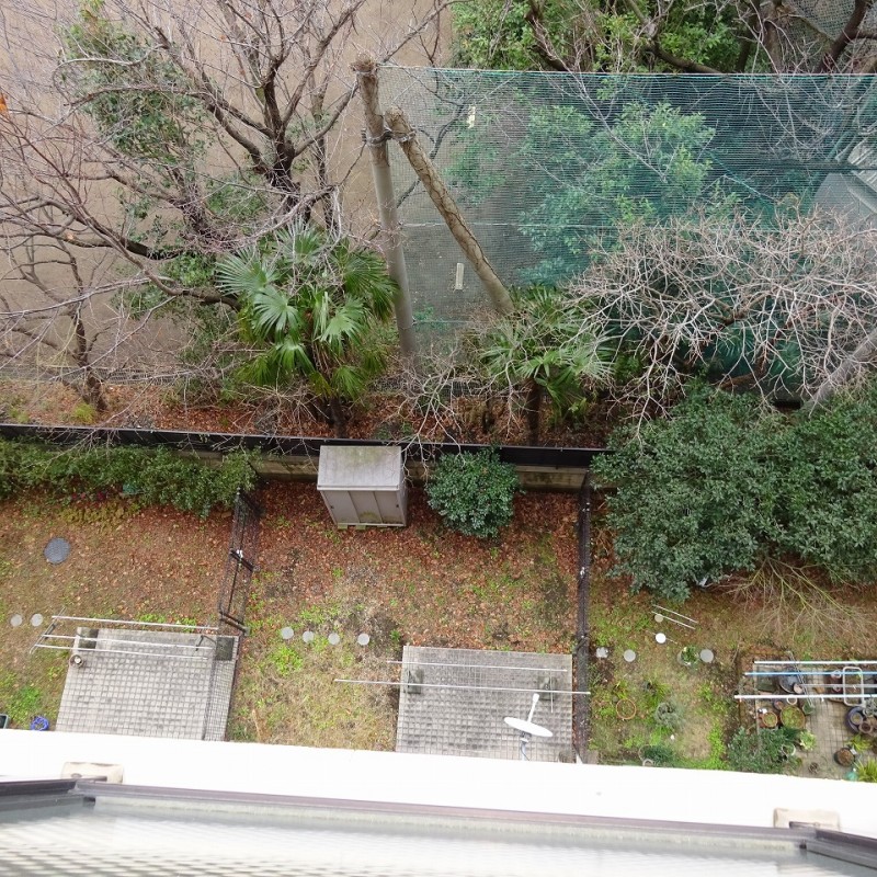 1階の庭先