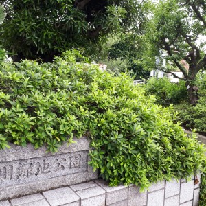 野川緑地公園