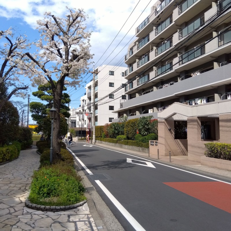 前面道路