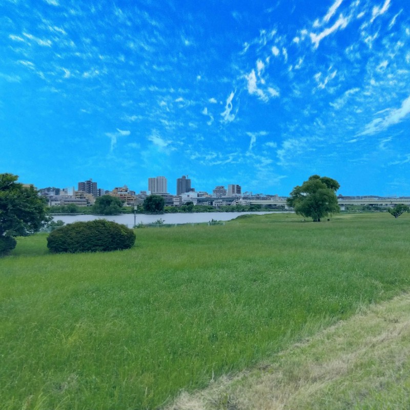 多摩川自由ひろばまで190m