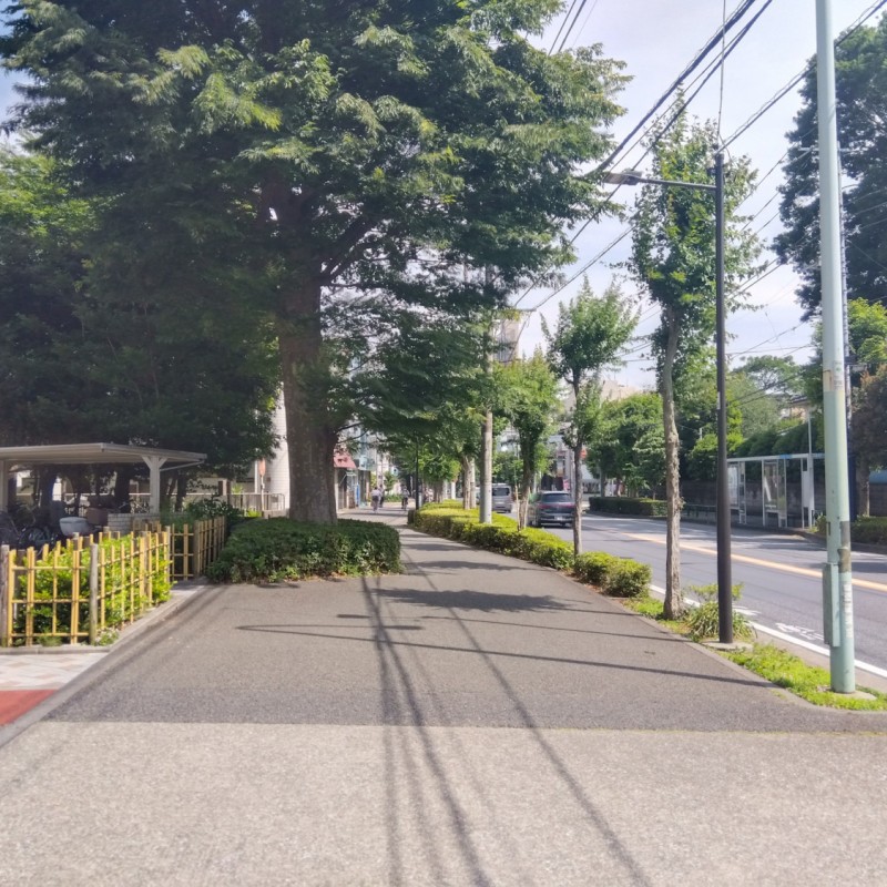 前面道路