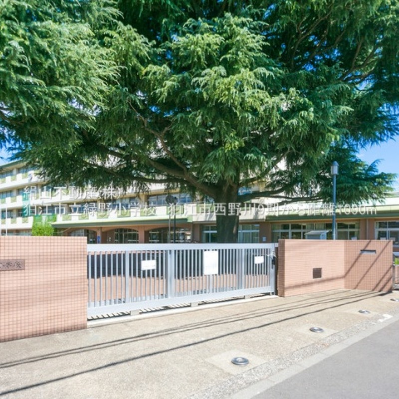 緑野小学校