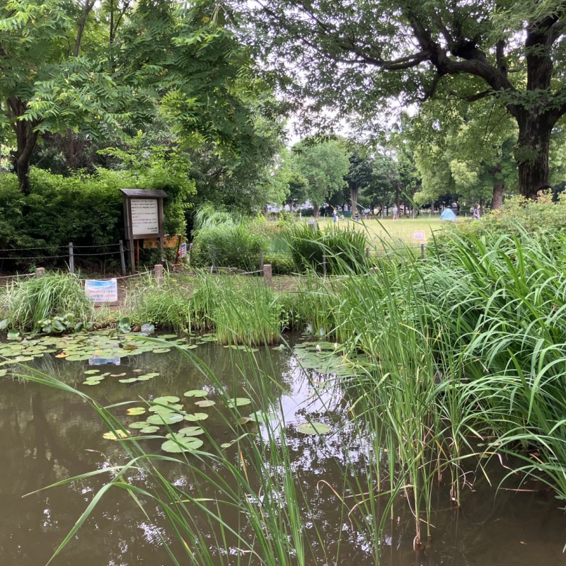前原公園　500ｍ