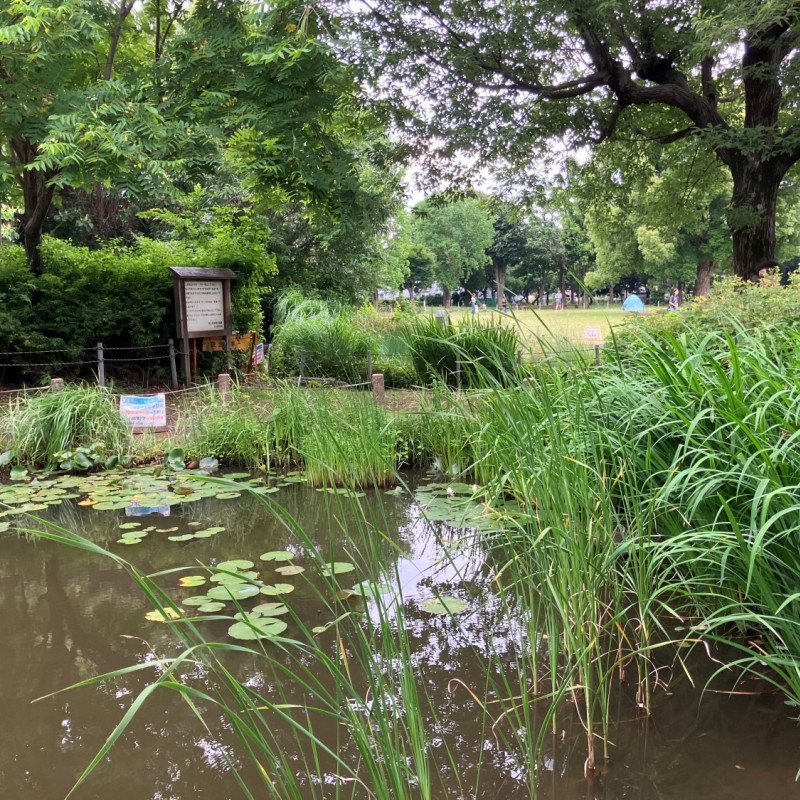 前原公園　1200ｍ