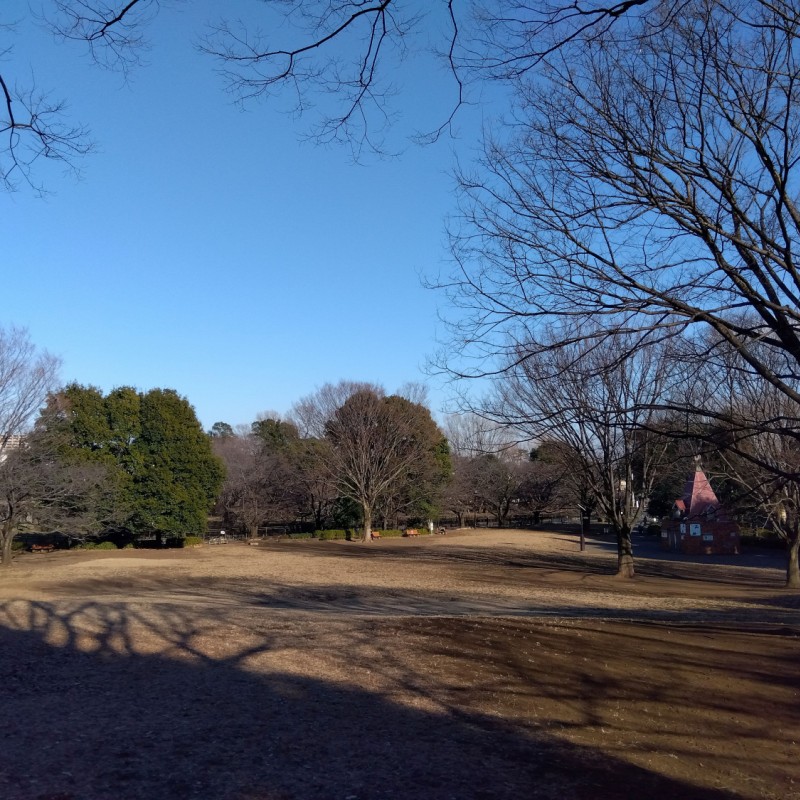 祖師谷公園まで600m