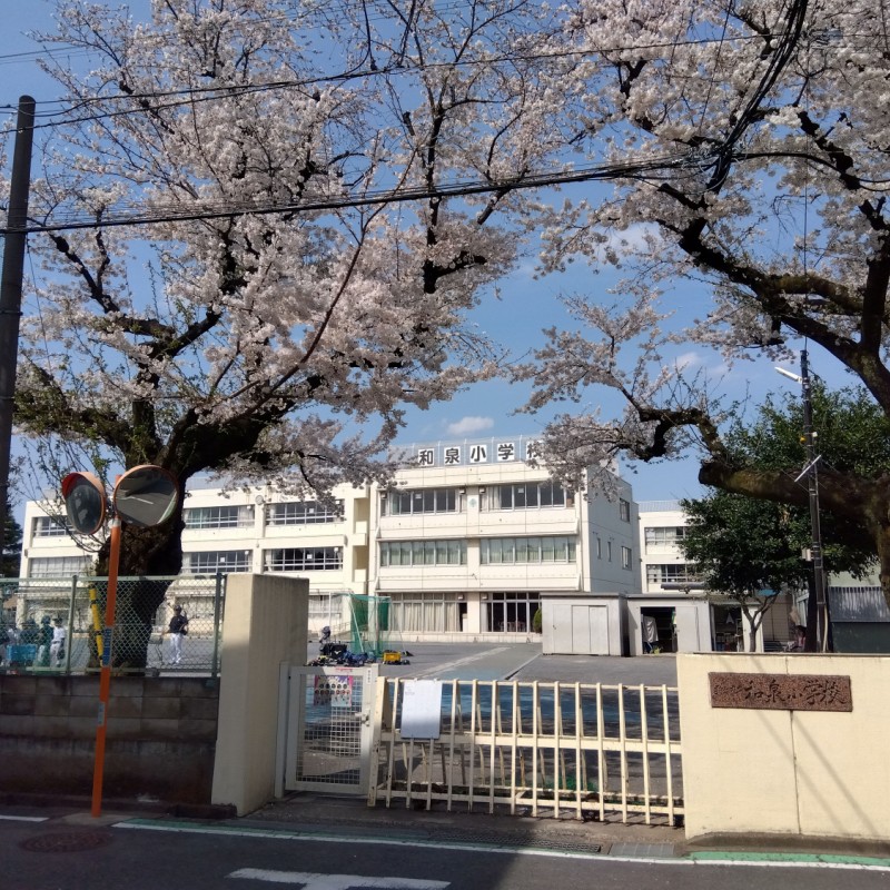 和泉小学校まで750m