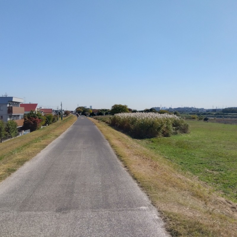 南側サイクリングロード