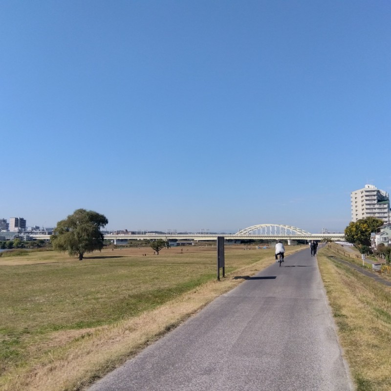 南側サイクリングロード