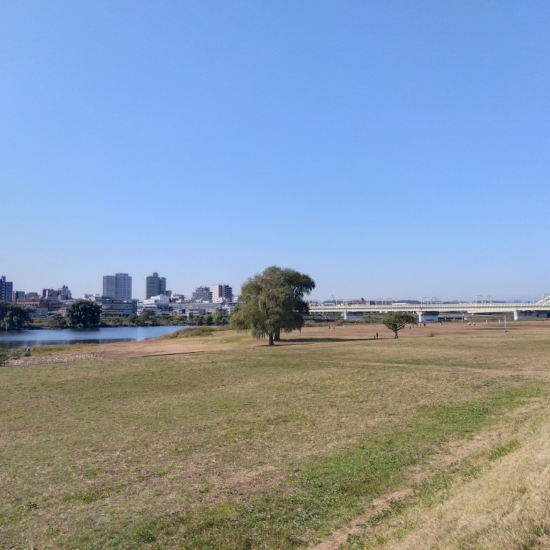 多摩川自由ひろばまで190m