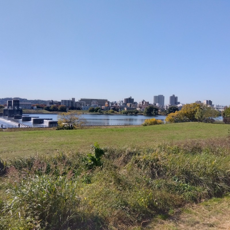 多摩川自由ひろばまで190m