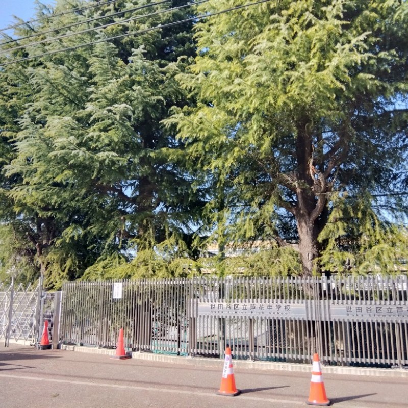 芦花小学校まで1000m