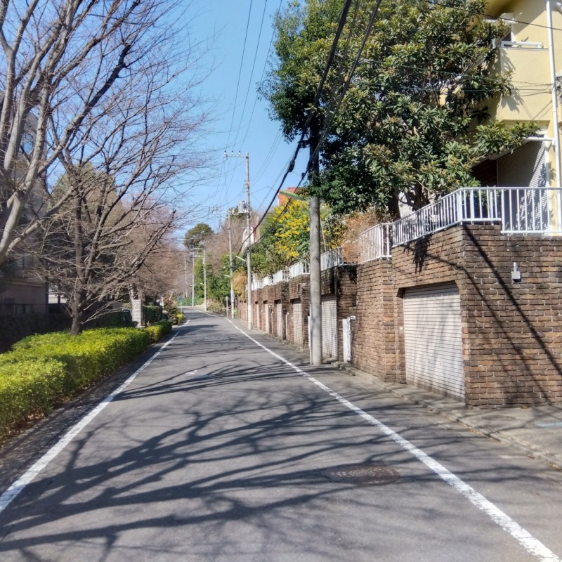 前面道路