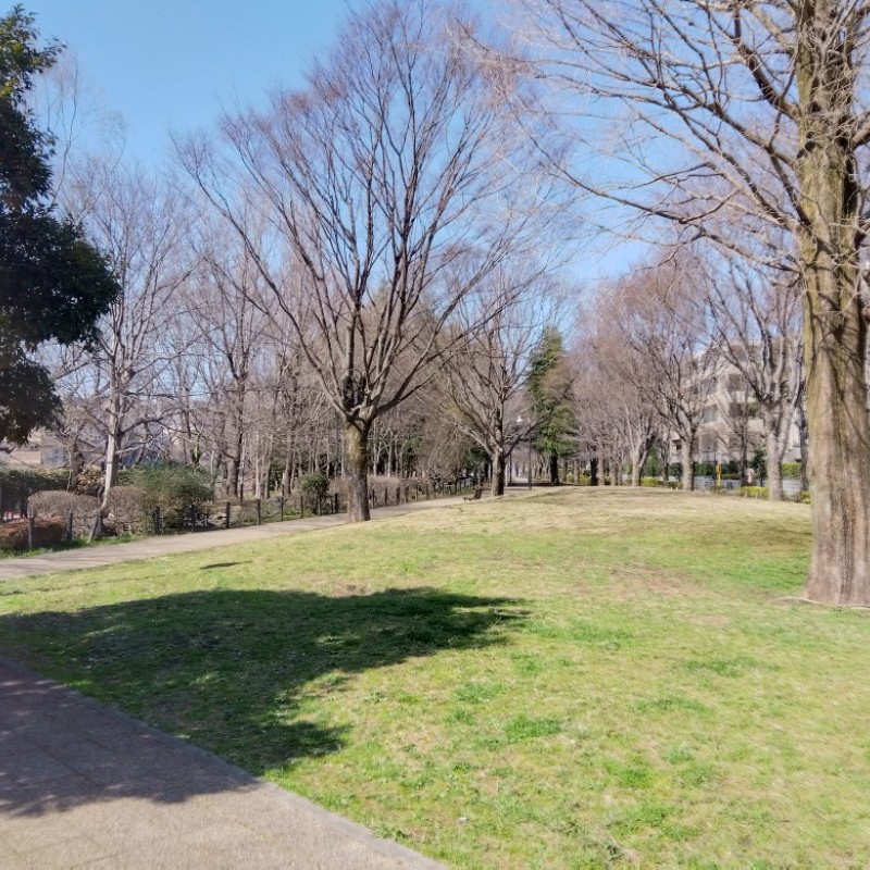 野川緑地広場まで170m