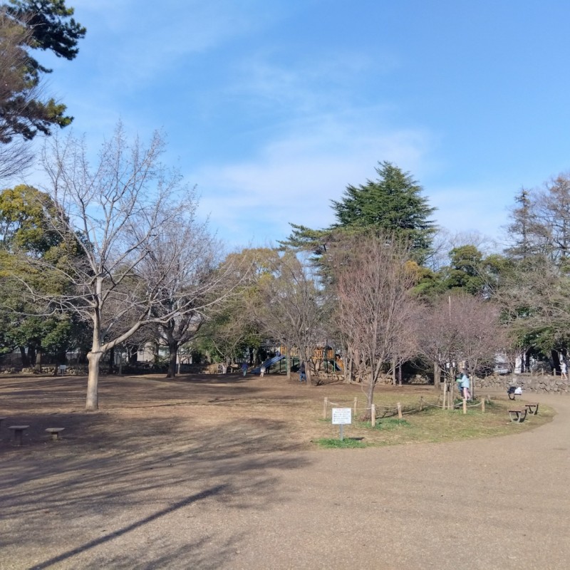 三宿の森緑地まで550m