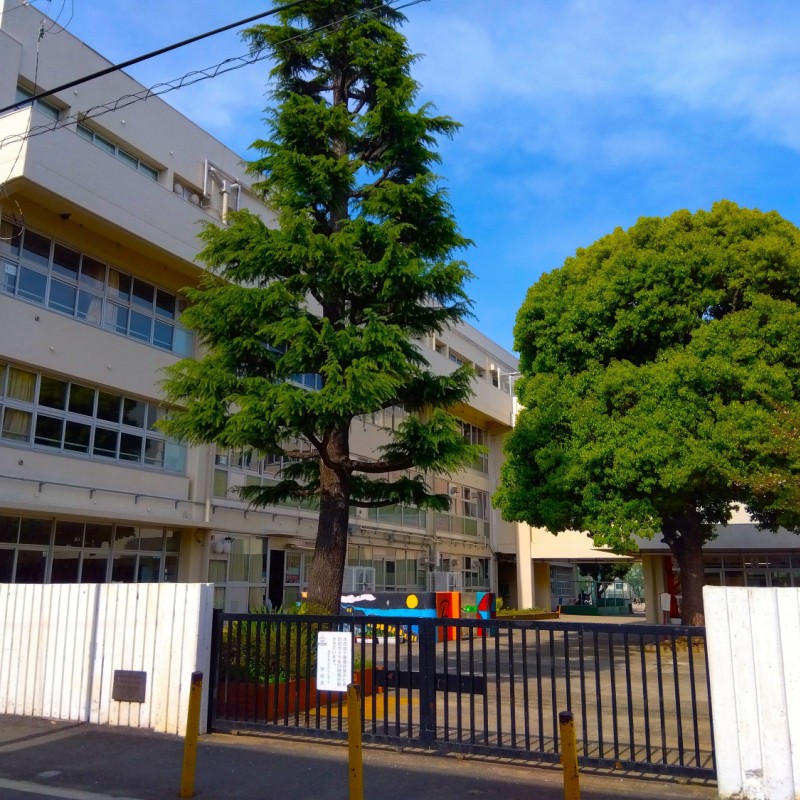 狛江第六小学校まで700m