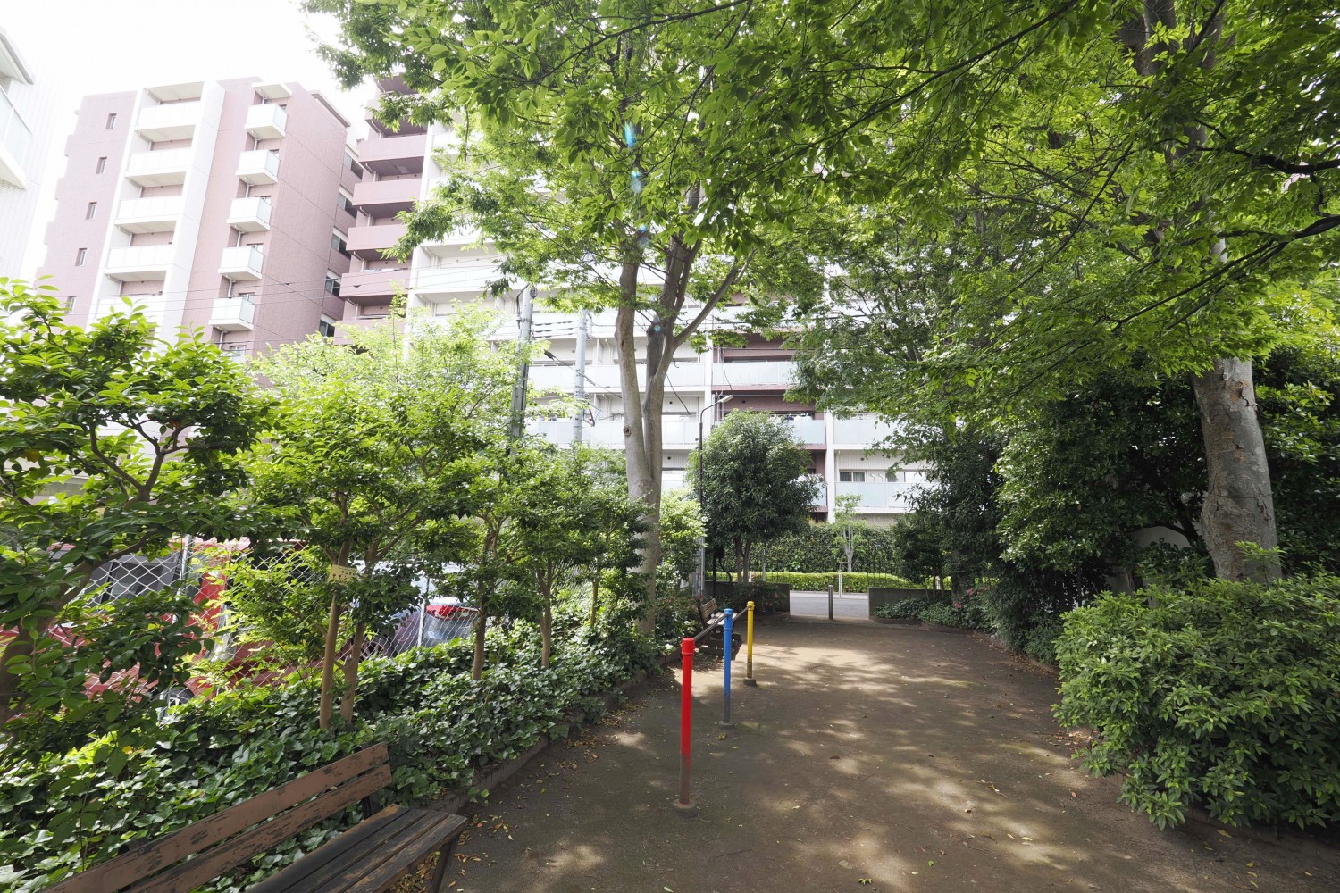 お部屋のバルコニー正面から見える公園です。公園側から撮影しました。木漏れ日が清々しいです。
