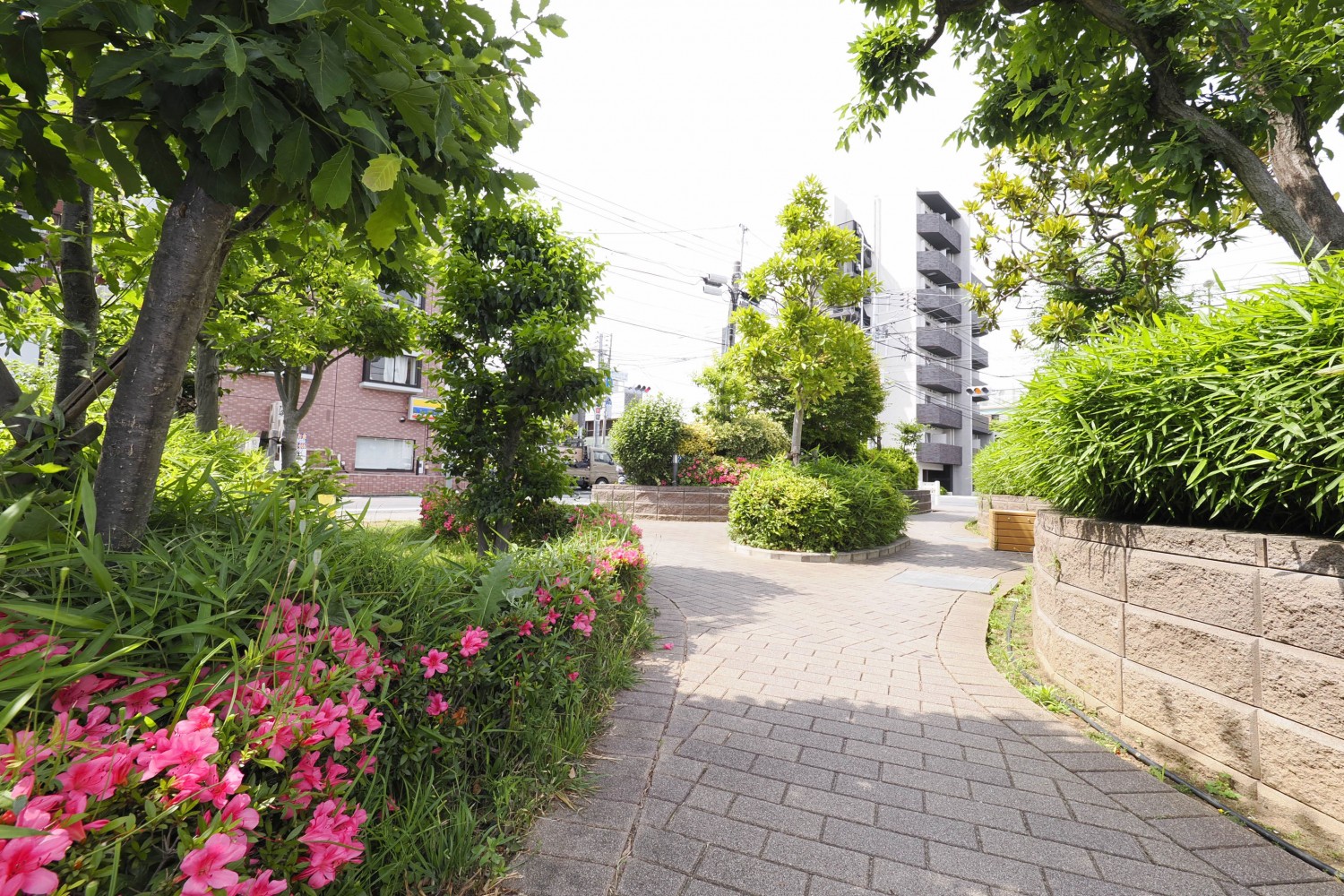 公開空地です。草花に癒されます。