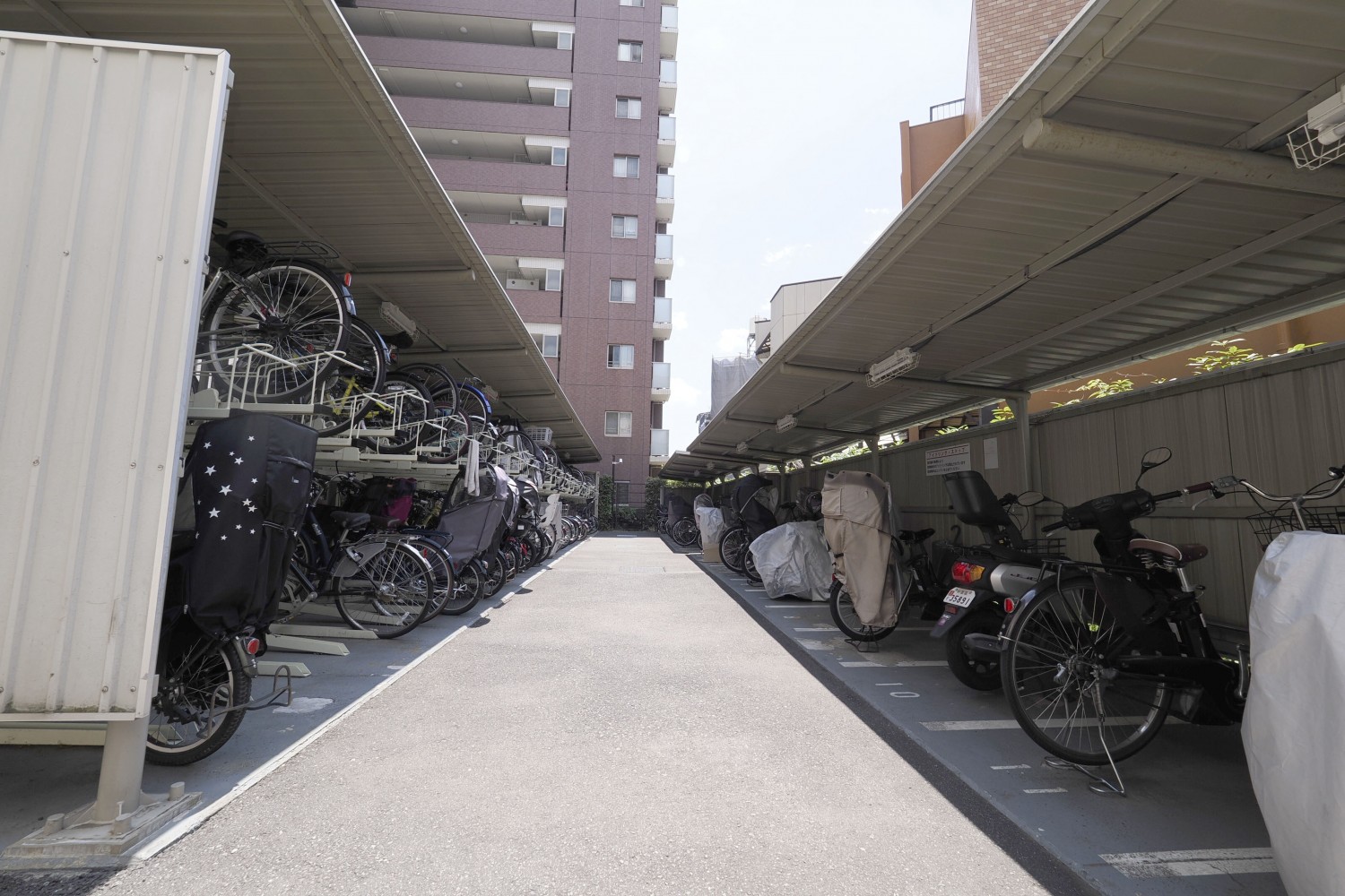 駐輪場です。空区画があります。月額使用料は１００円～４００円です。※２０２５年５月時点