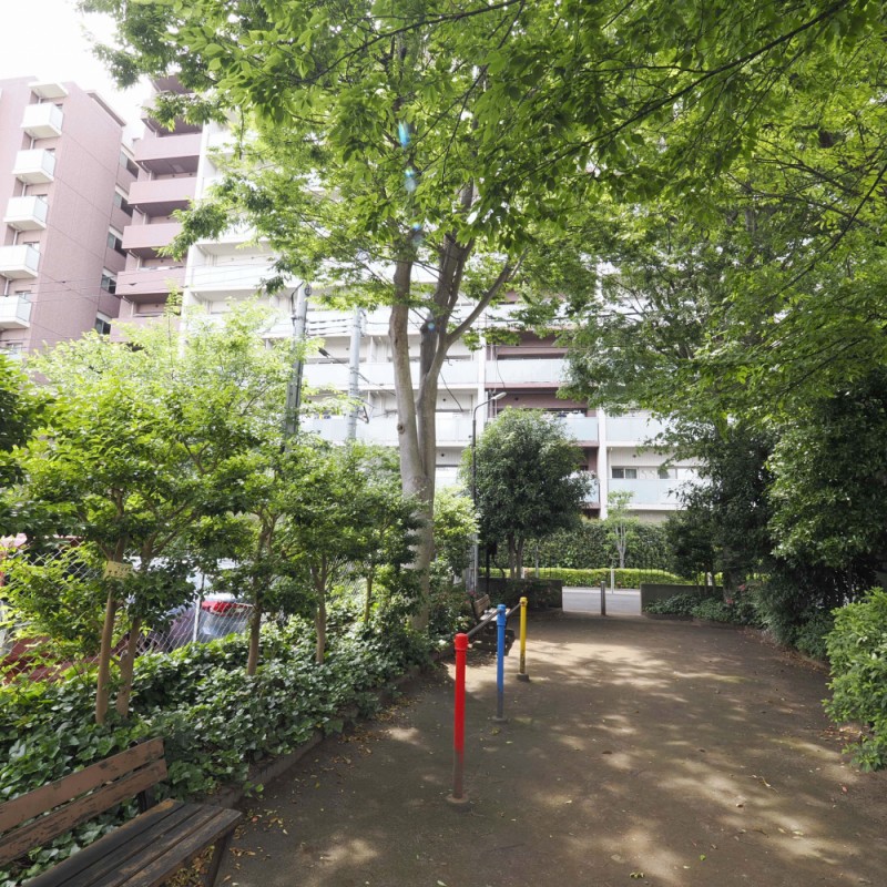 お部屋のバルコニー正面から見える公園です。公園側から撮影しました。木漏れ日が清々しいです。