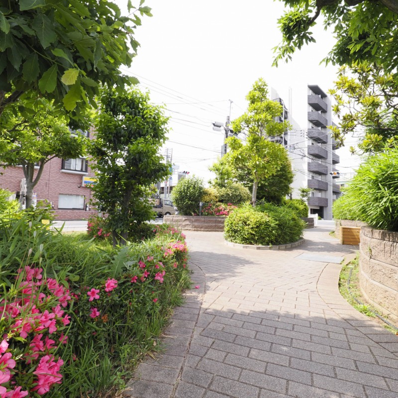 公開空地です。草花に癒されます。