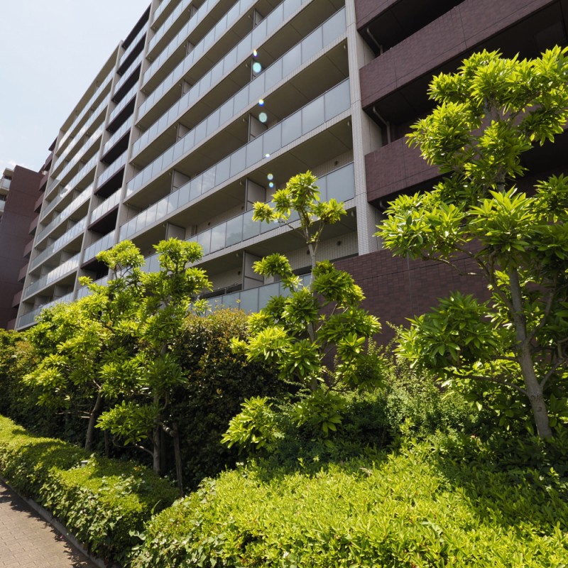 お部屋のある東側から撮影した外観写真です。お部屋は４階部分にあるため見晴らしがよいです。